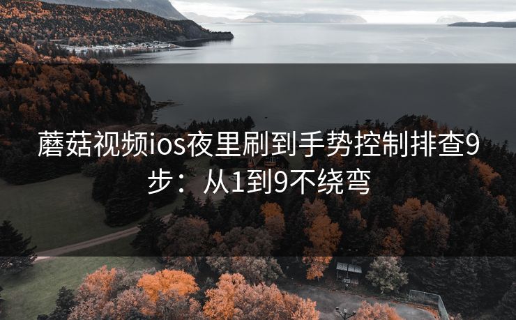 蘑菇视频ios夜里刷到手势控制排查9步:从1到9不绕弯 蘑菇视频ios夜里刷到手势控制排查9步:从1到9不绕弯