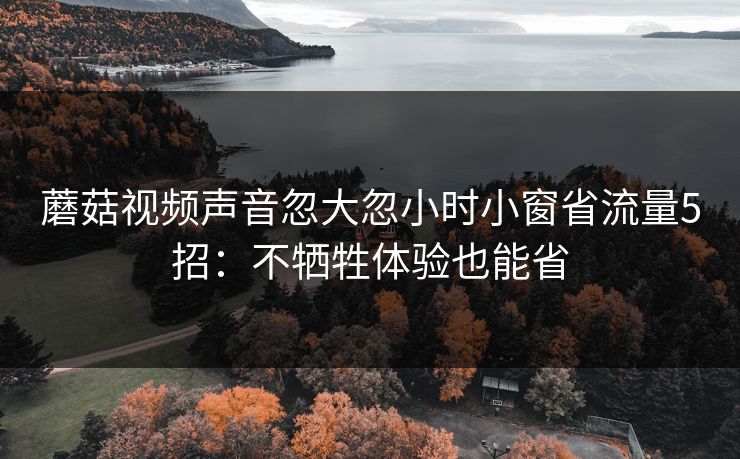 蘑菇视频声音忽大忽小时小窗省流量5招：不牺牲体验也能省