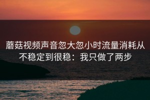 蘑菇视频声音忽大忽小时流量消耗从不稳定到很稳：我只做了两步