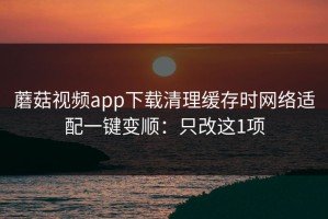 蘑菇视频app下载清理缓存时网络适配一键变顺：只改这1项