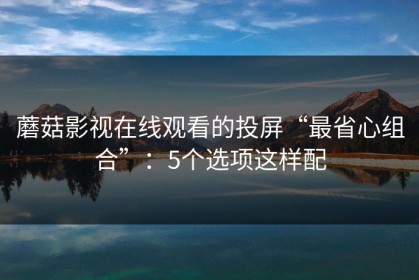 蘑菇影视在线观看的投屏“最省心组合”：5个选项这样配
