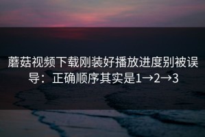 蘑菇视频下载刚装好播放进度别被误导：正确顺序其实是1→2→3