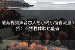 蘑菇视频声音忽大忽小时小窗省流量5招：不牺牲体验也能省