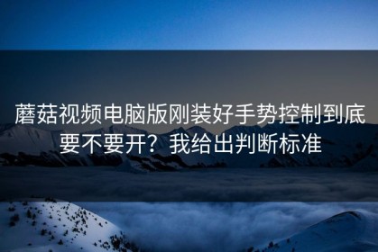 蘑菇视频电脑版刚装好手势控制到底要不要开？我给出判断标准