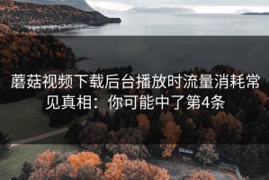 蘑菇视频下载后台播放时流量消耗常见真相：你可能中了第4条