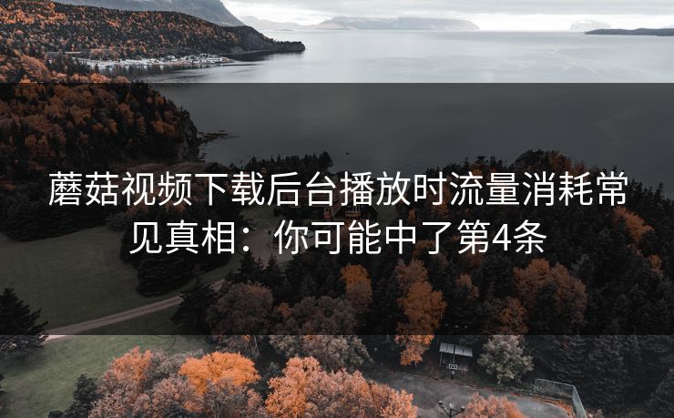 蘑菇视频下载后台播放时流量消耗常见真相:你可能中了第4条 蘑菇视频下载后台播放时流量消耗常见真相:你可能中了第4条